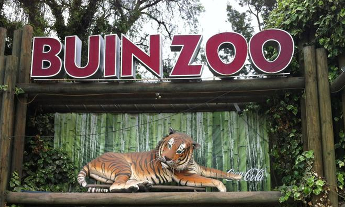 BUIN ZOO