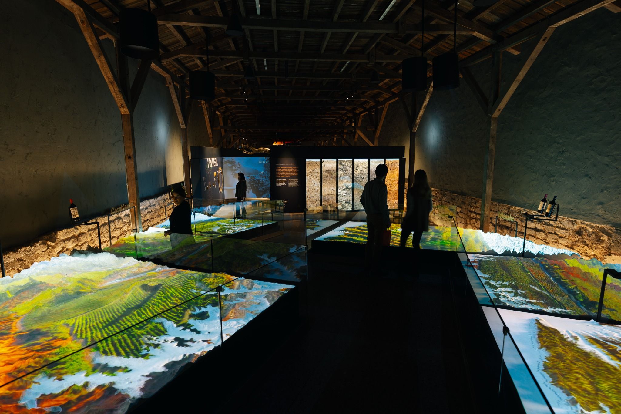 VISITA GUIADA – CENTRO DEL VINO (SEM MUSEU SENSORIAL)