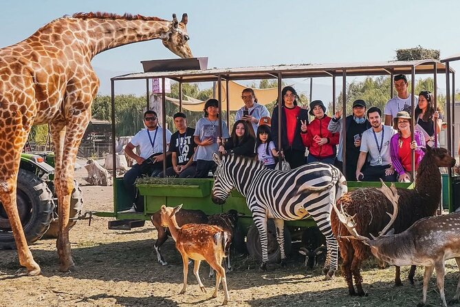 PARQUE SAFARI
